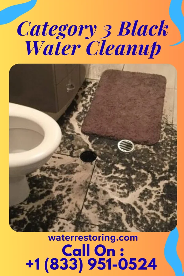 Category 3 Black Water Cleanup in Venedocia, OH