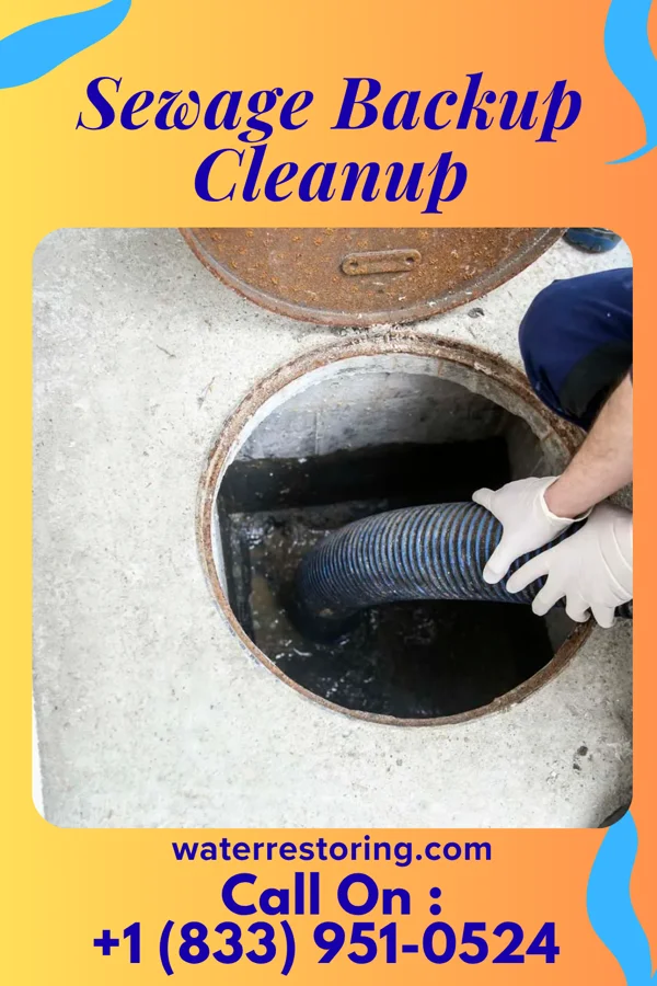 Sewage Backup Cleanup in Venedocia, OH