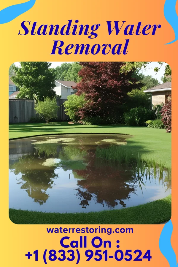 Standing Water Removal in Venedocia, OH